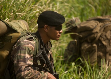 MRF-D Marines patrol to an objective