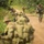 MRF-D Marines patrol to an objective