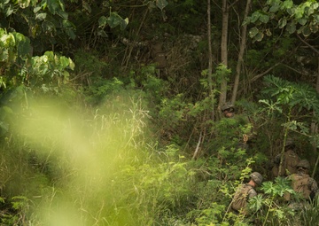 MRF-D Marines maneuver to objective during Tafakula