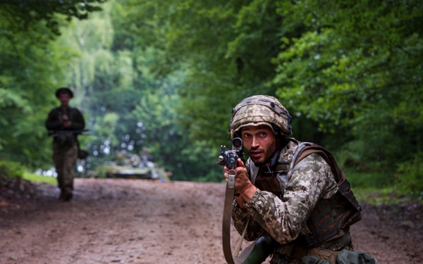 Combined Resolve XII: Friend or Foe