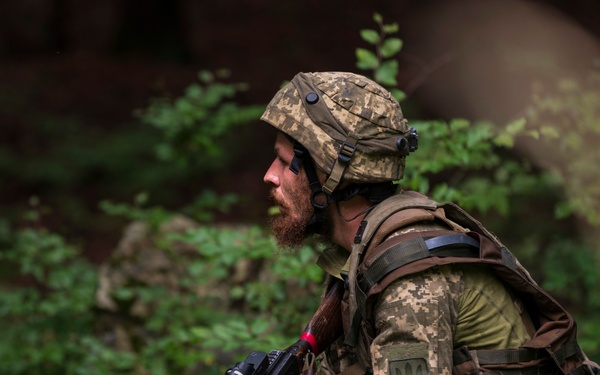 Combined Resolve XII: Friend or Foe