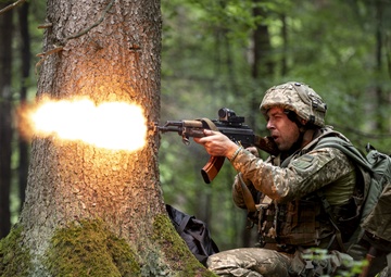 Combined Resolve XII: Friend or Foe