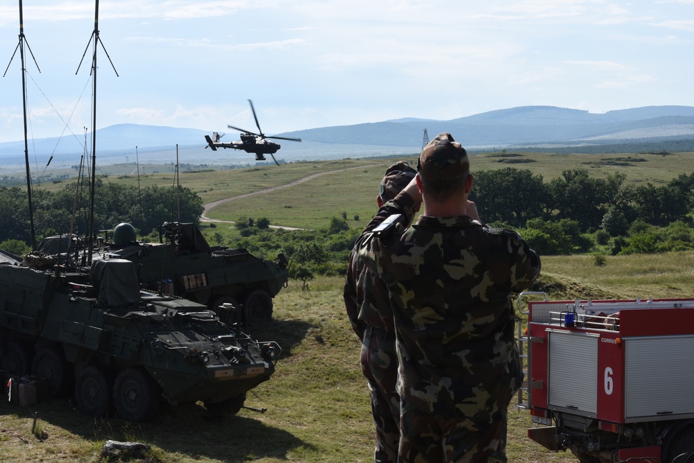 Task Force Viper Conducts CALFEX with 2d CR
