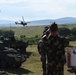 Task Force Viper Conducts CALFEX with 2d CR