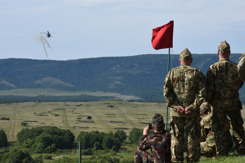 Task Force Viper Conducts CALFEX with 2d CR