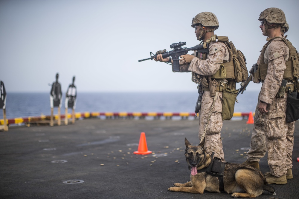 11th MEU LE conduct live-fire range aboard the USS Boxer