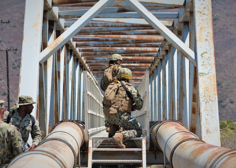 CECOS Students Experience FTX