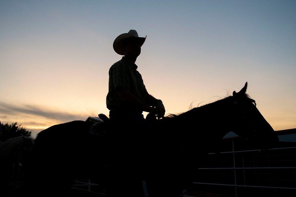 97 AMW Leaders Learn to Sort Cattle