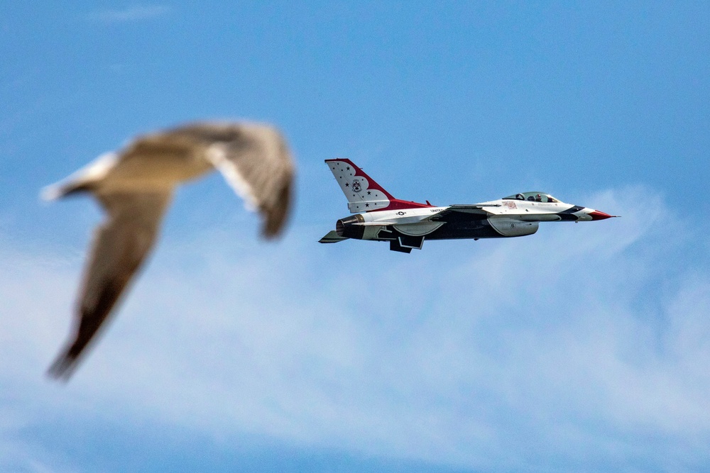 DVIDS Images Thunderbirds perform at Atlantic City Air Show [Image