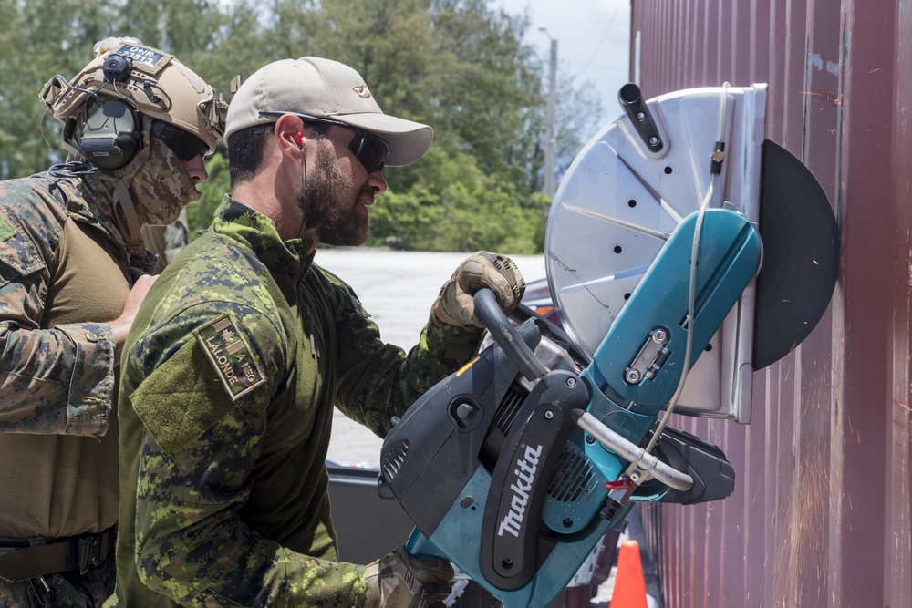 U.S., Allied Forces conduct explosive-breaching knowledge exchange during HYDRACRAB 2019
