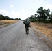 U.S. Army TRADOC hosts the 2019 U.S. Army Drill Sergeant of the Year (DSOY) Competition