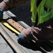 TF Barrier: Soil Drilling 9 (Lukeville)