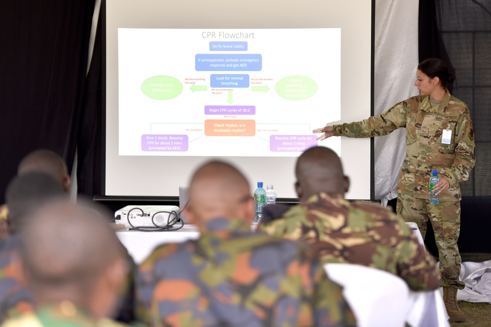 Personnel recovery brings African partners together