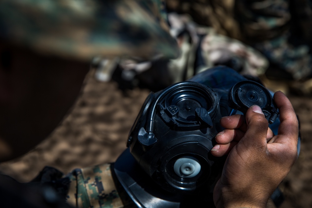 I MSB conducts battalion FEX 2019