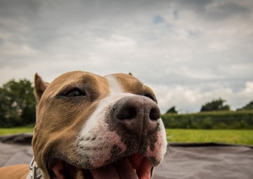 Wounded Warrior Care Event