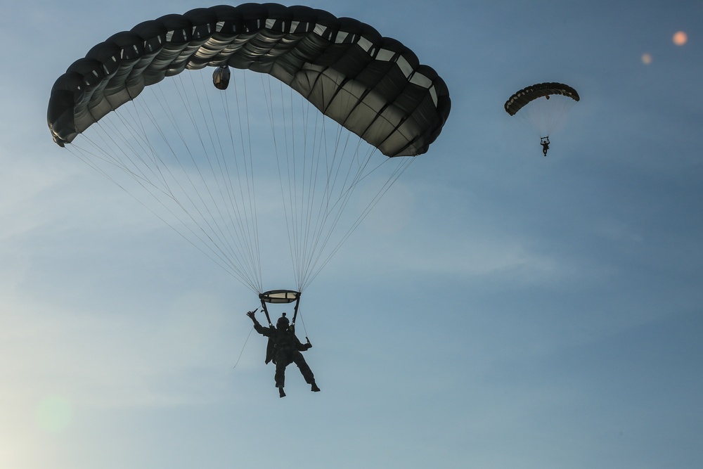 DVIDS - Images - Military Free Fall jump [Image 9 of 20]