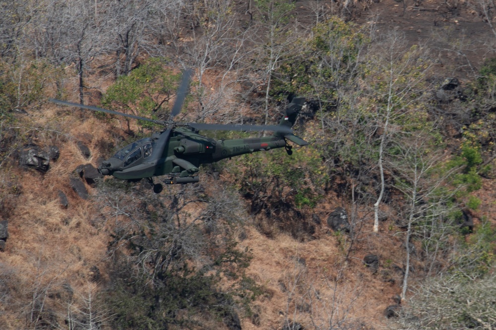 Joint Apache Live Fire at Garuda Shield 19