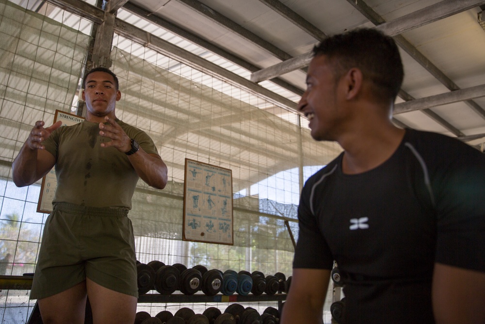 MRF-D Marines conduct physical training during Hari'i Hamutuk 2019