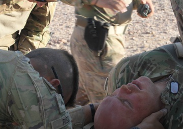 Silver Lions conduct Eager Lion medevac prep