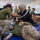 11TH MEU FET Conducts A Marine Corps Martial Arts Program Training Session with the Jordan Armed Forces Quick Reaction Force Female Engagement Team