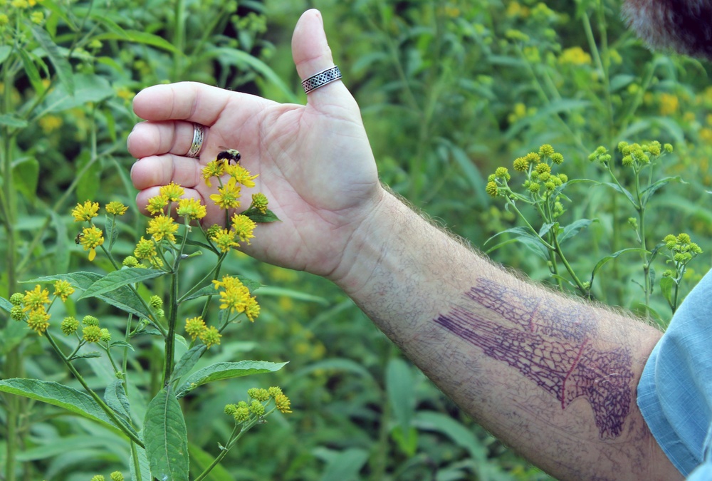 Army Corps performs endangered species surveys on Fort Detrick