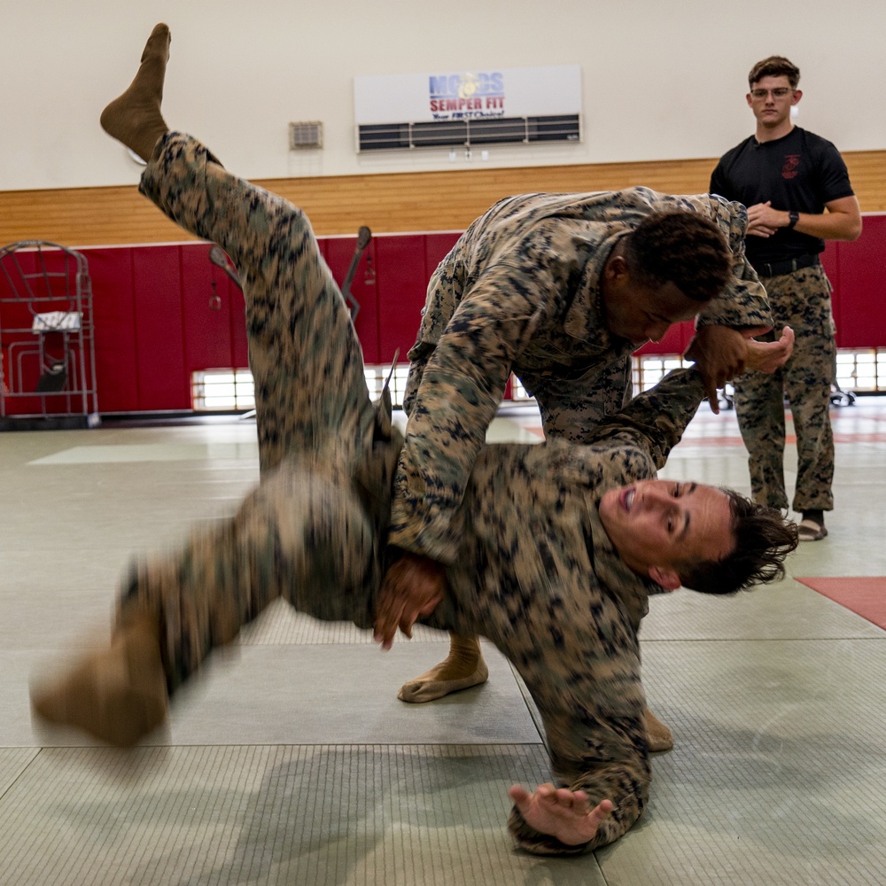 Marines with course 205-19 endure and complete the grueling 3-week MAI course