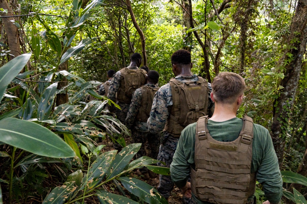 Marines with course 205-19 endure and complete the grueling 3-week MAI course