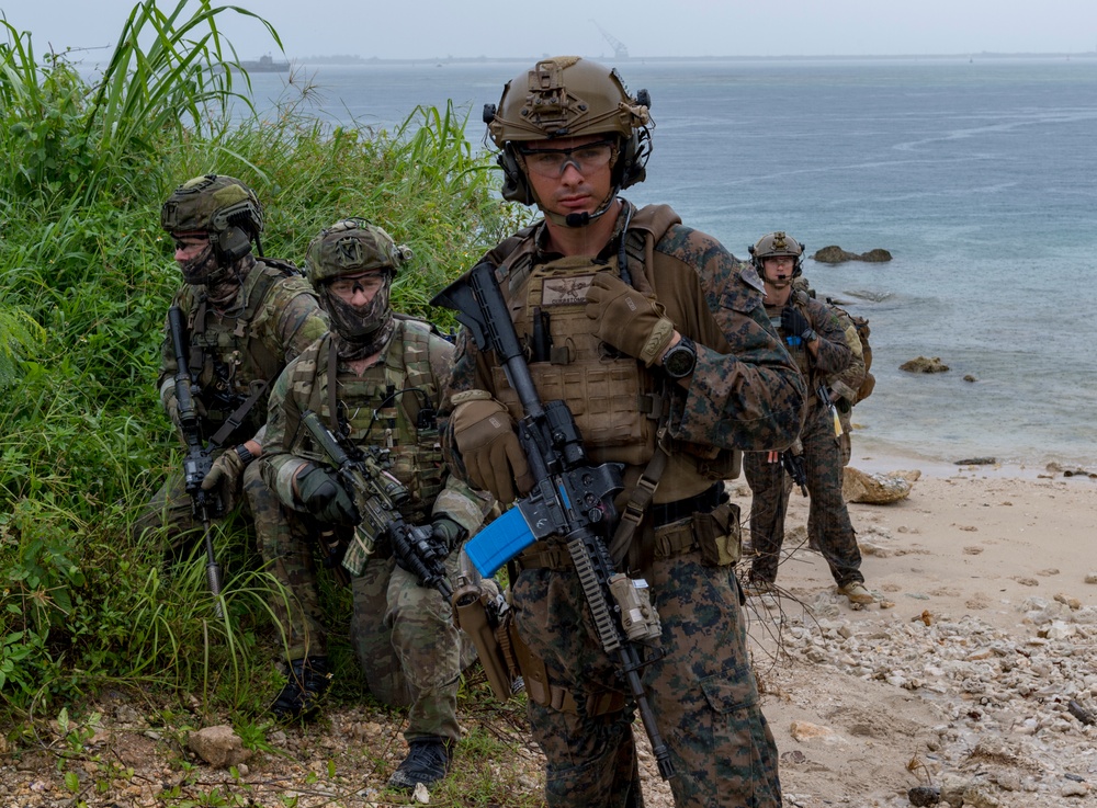 U.S., Allied forces conduct direct-assault  knowledge exchange during HYDRACRAB 2019