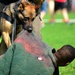 Military Working Dogs Demonstration