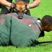 Military Working Dogs Demonstration