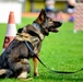 Military Working Dogs Demonstration