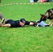 Military Working Dogs Demonstration