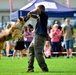 Military Working Dogs Demonstration