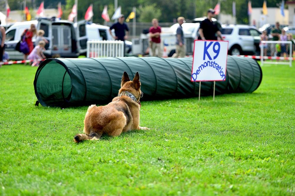 Military Working Dogs Demonstration