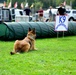 Military Working Dogs Demonstration