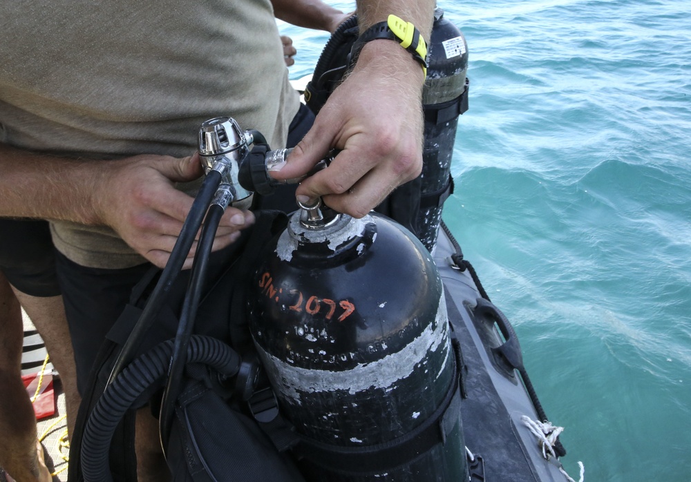 Jordanian Frogmen, TF 56 conduct bilateral underwater simulated ordinance detonation training