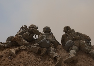 Eager LIon '19 Live Fire