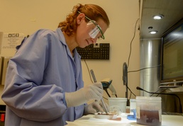 Investigating Down to the Cells With NMCSD Pathology Lab
