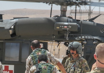 American, Jordanian soldiers conduct medevac training