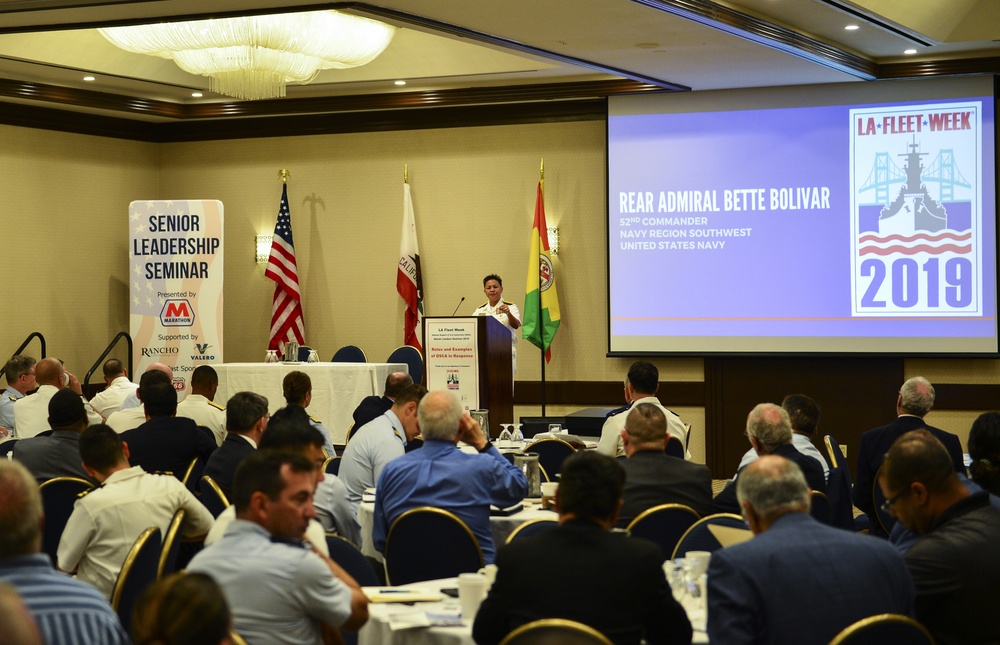 Rear Adm. Bette Bolivar, Commander, Navy Region Southwest, delivers opening remarks at DSCA