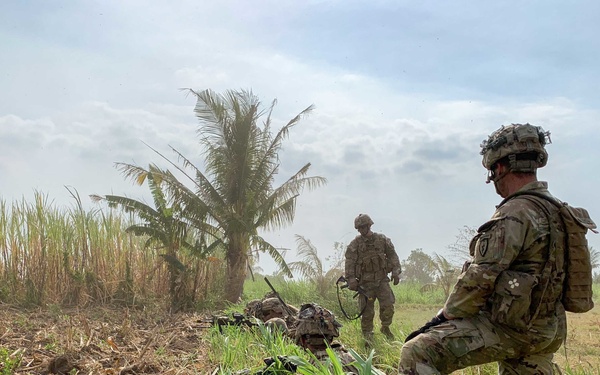 Garuda Shield 19 1-27 Air Assault