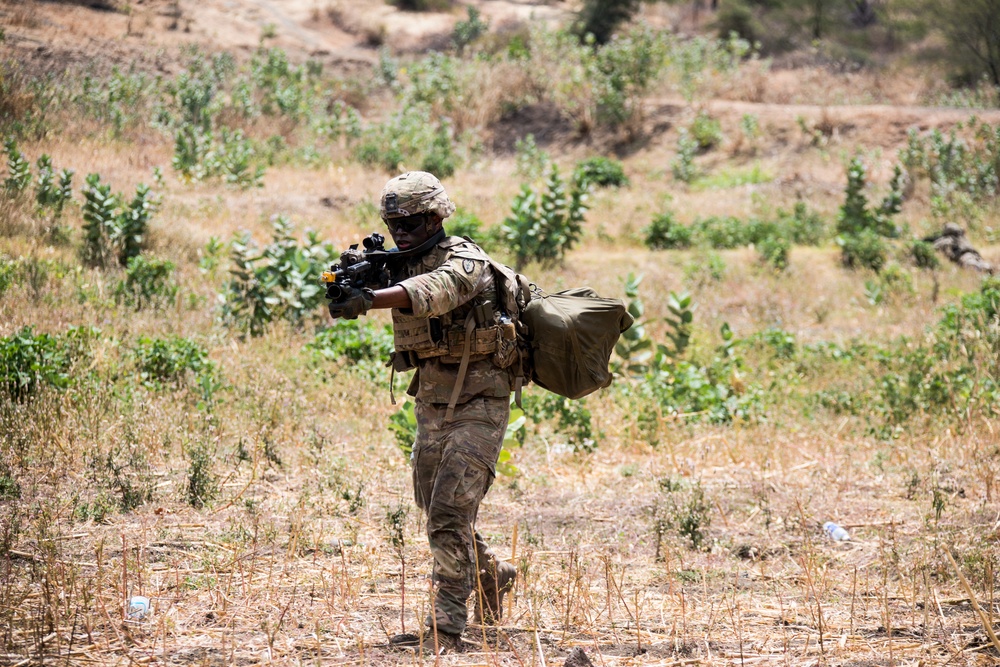 1-27 IN BN Wolfhounds conduct platoon Live-Fire Exercises at Garuda Shield 19