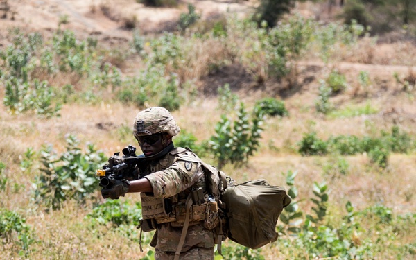 1-27 IN BN Wolfhounds conduct platoon Live-Fire Exercises at Garuda Shield 19