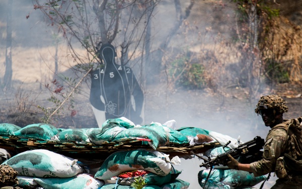 1-27 IN BN Wolfhounds conduct platoon Live-Fire Exercises at Garuda Shield 19