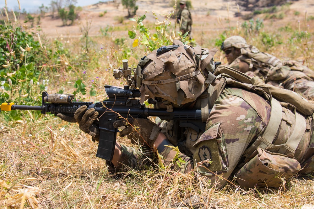 1-27 IN BN Wolfhounds conduct platoon Live-Fire Exercises at Garuda Shield 19