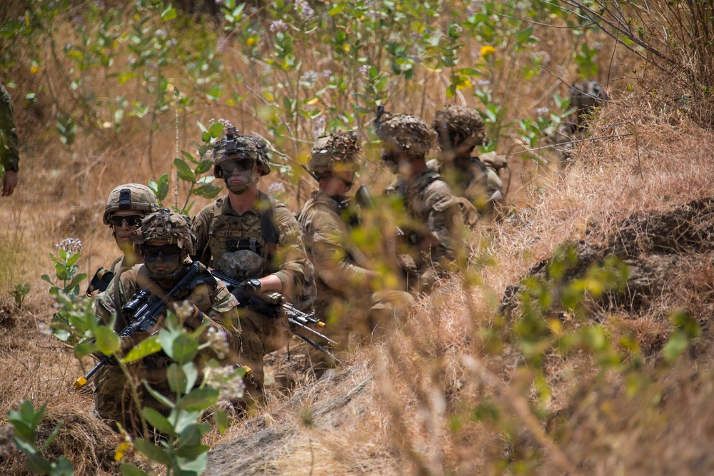 1-27 IN BN Wolfhounds conduct platoon Live-Fire Exercises at Garuda Shield 19