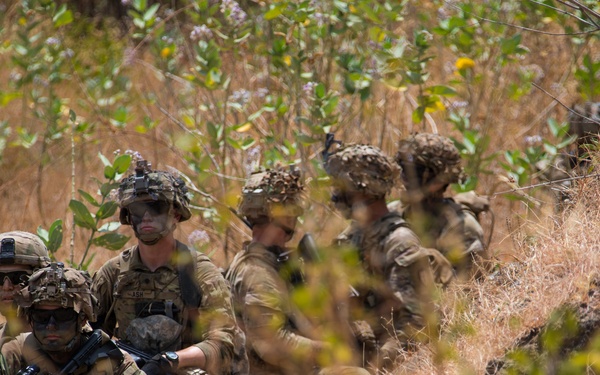 1-27 IN BN Wolfhounds conduct platoon Live-Fire Exercises at Garuda Shield 19