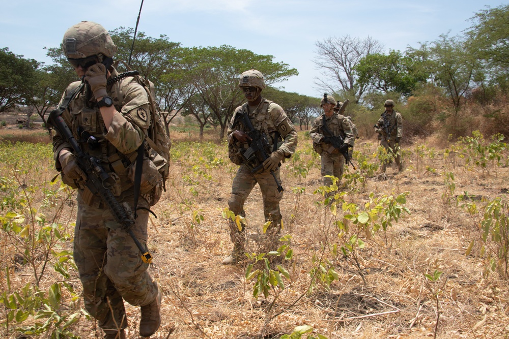 1-27 IN BN Wolfhounds conduct platoon Live-Fire Exercises at Garuda Shield 19