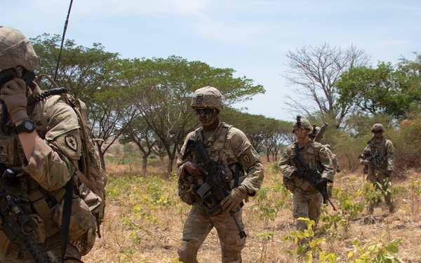 1-27 IN BN Wolfhounds conduct platoon Live-Fire Exercises at Garuda Shield 19