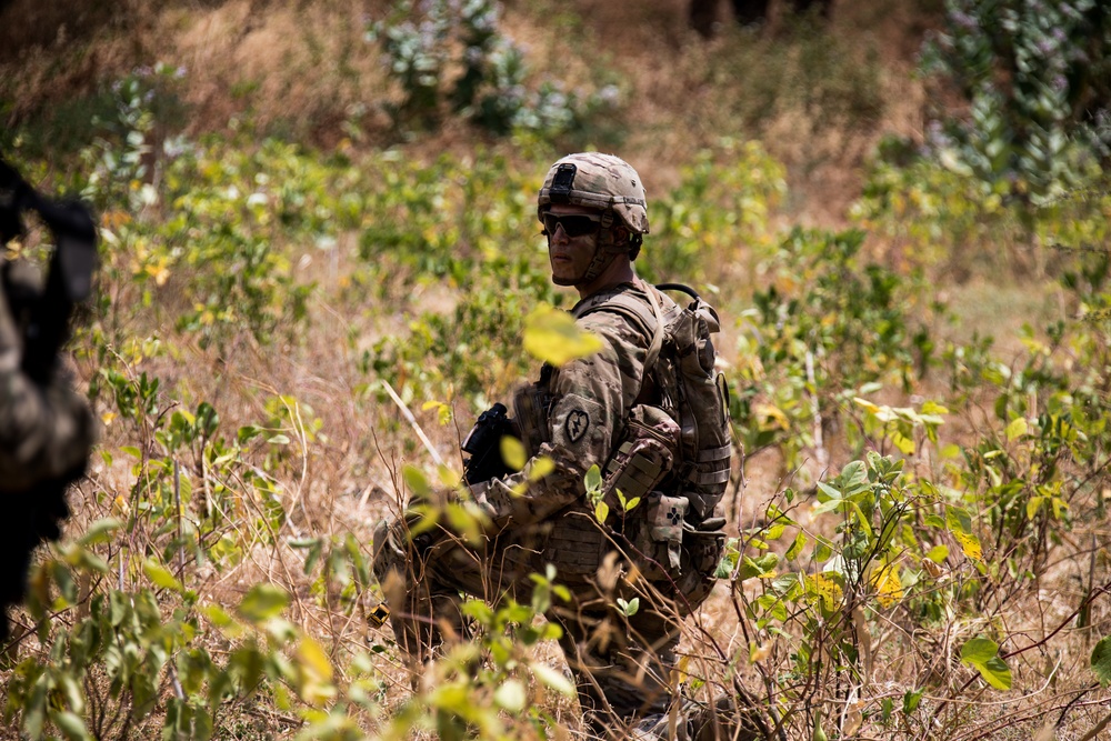 1-27 IN BN Wolfhounds conduct platoon Live-Fire Exercises at Garuda Shield 19